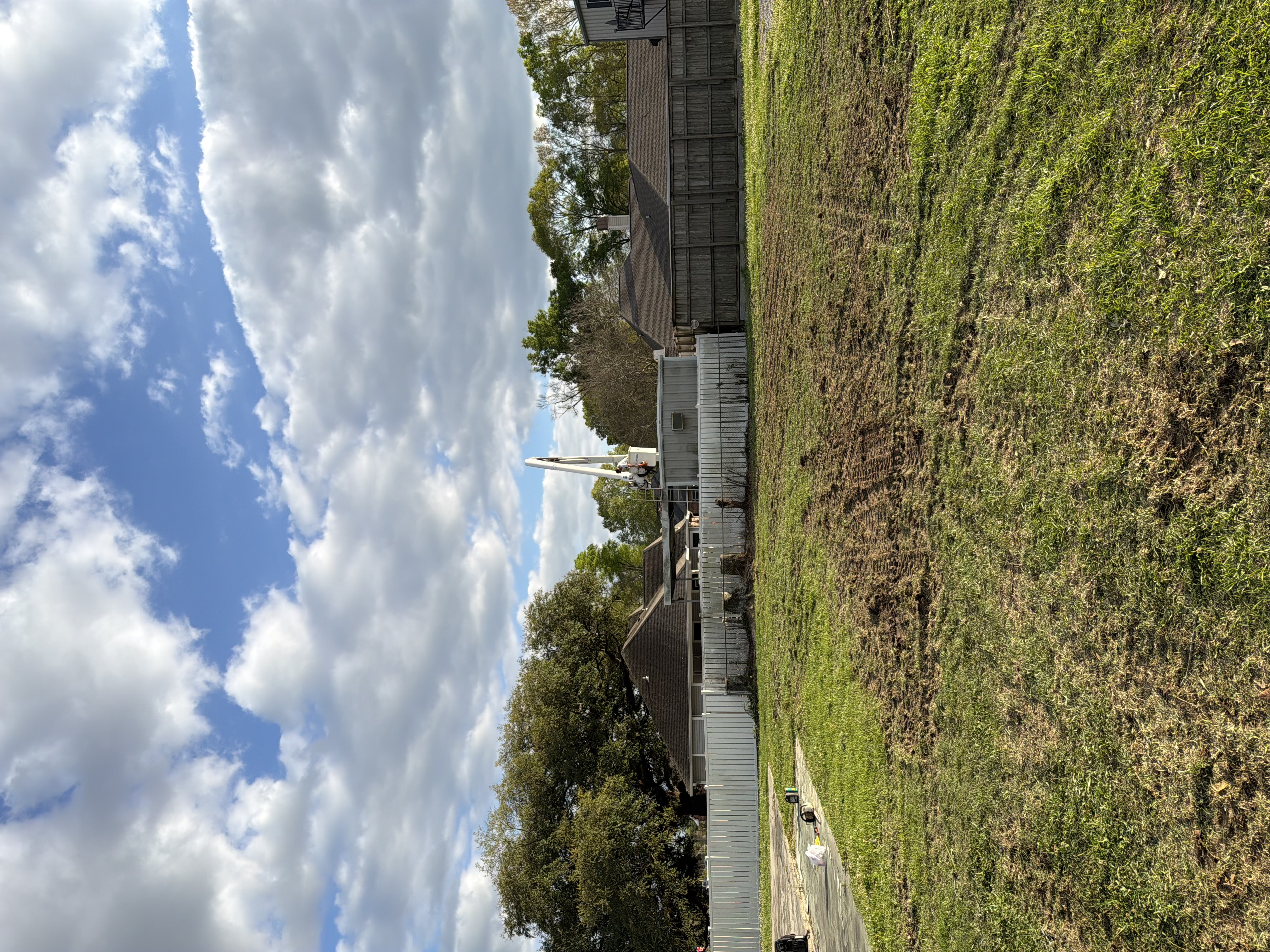 Tree trimming project after work